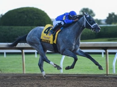 Preview: Breeders' Cup Juvenile 2020 ( Horses, Racecard, 201 ... Image 2